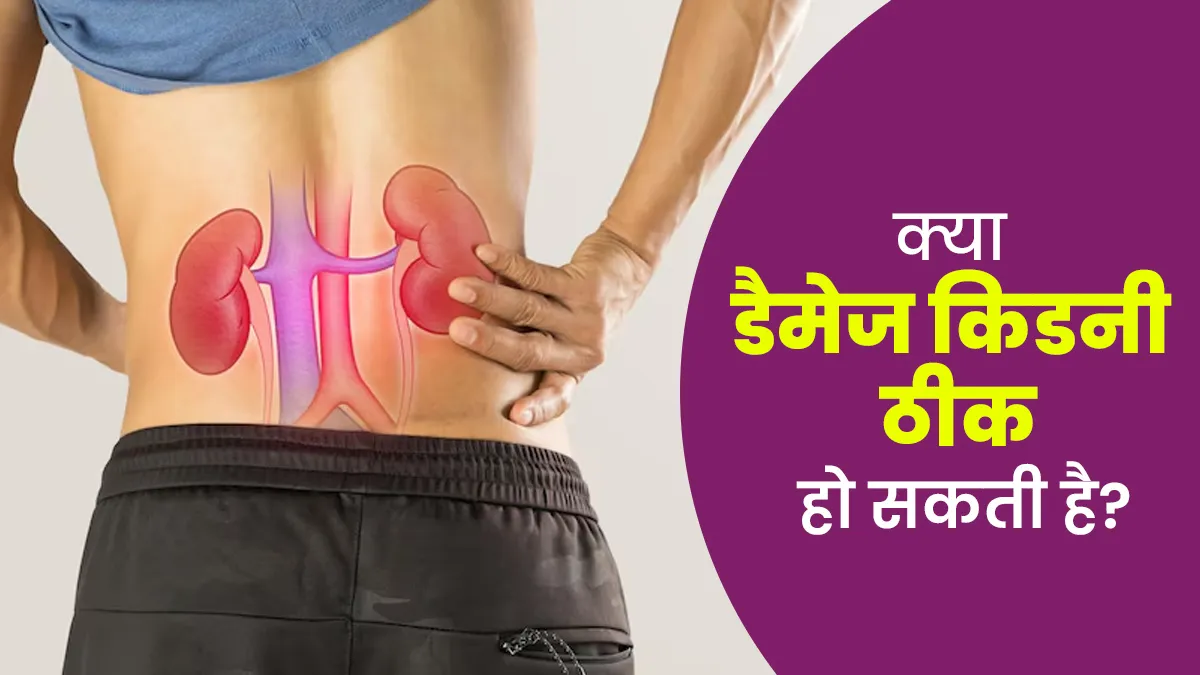 क्या खराब हुई किडनी ठीक हो सकती है? डॉक्टर से जानें