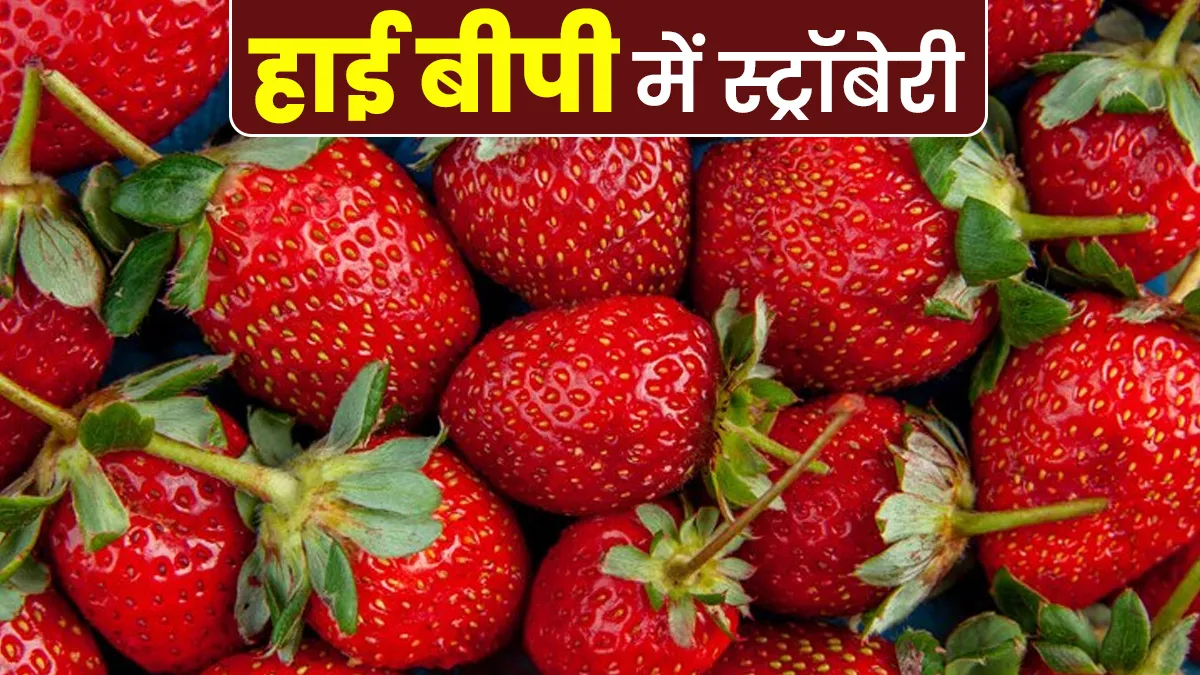 क्या हाई बीपी में स्ट्रॉबेरी खा सकते हैं? डॉक्टर से जानें Circulatory System के लिए इसके फायदे