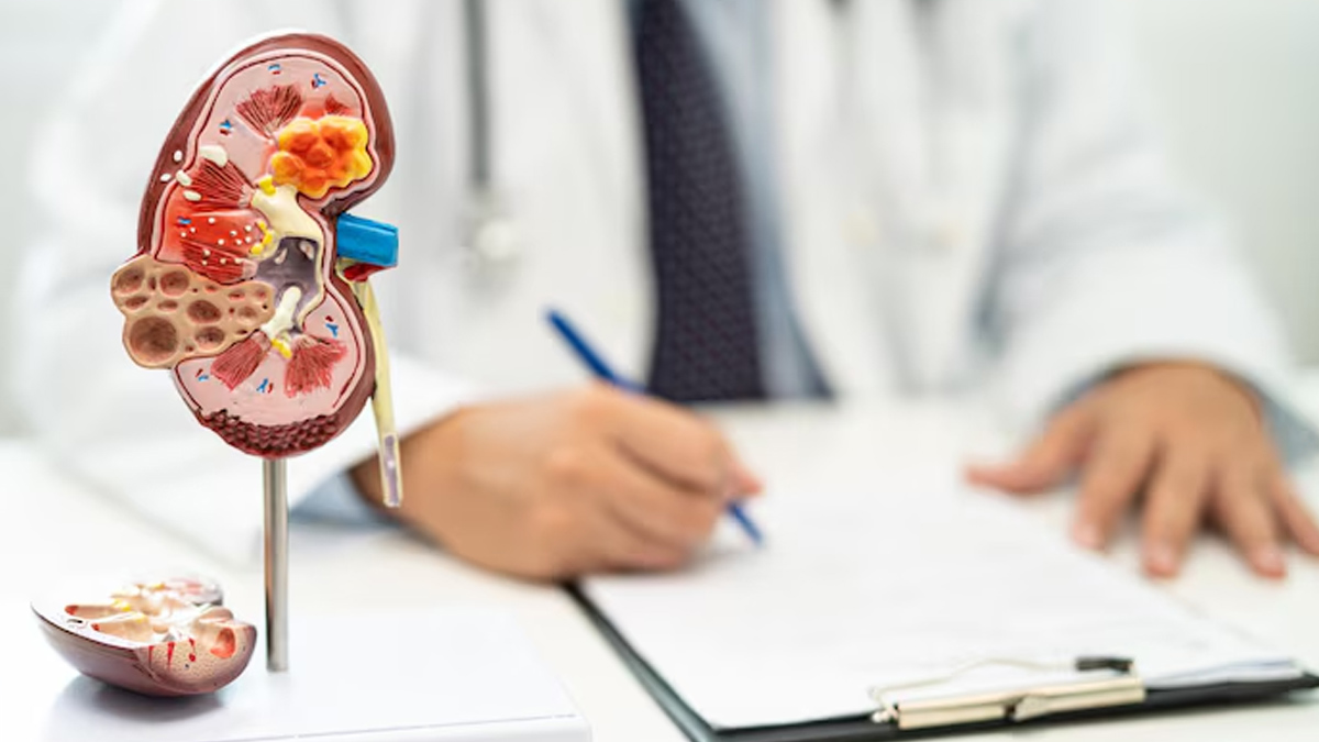 Can Damaged Kidneys Be Repaired
