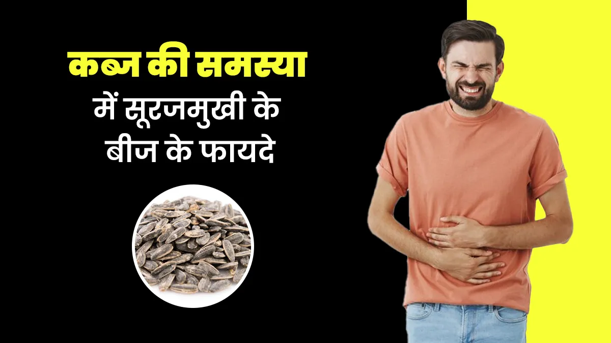 कब्ज की समस्या से बचने के लिए डाइट में शामिल करें सूरजमुखी के बीज, जानें इसके फायदे
