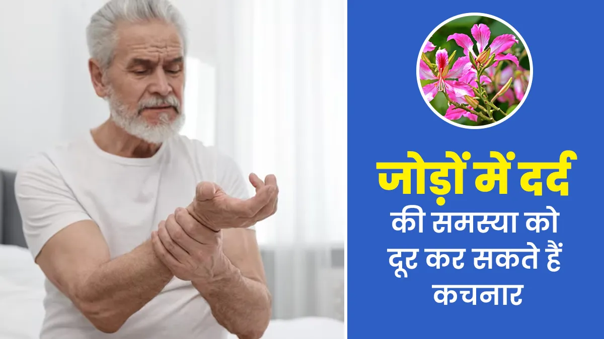 जोड़ों के दर्द को दूर कर सकता है कचनार, जानें इसके फायदे