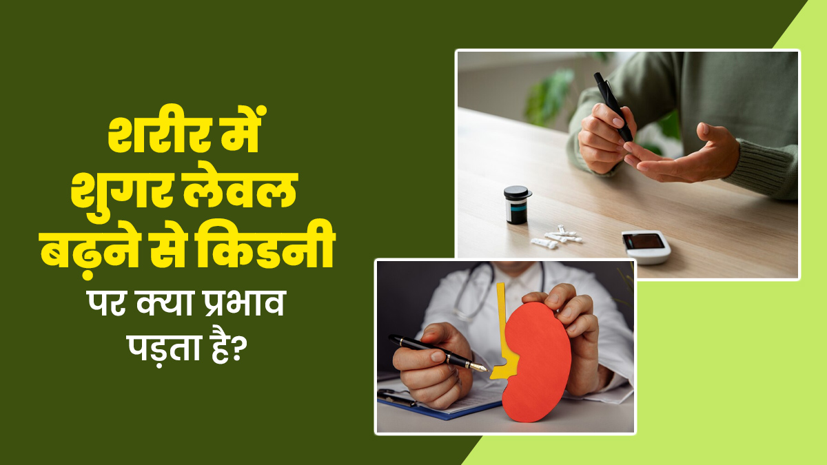 शरीर में शुगर लेवल बढ़ने से किडनी पर क्या प्रभाव पड़ता है? जानें इसे कंट्रोल करने का तरीका