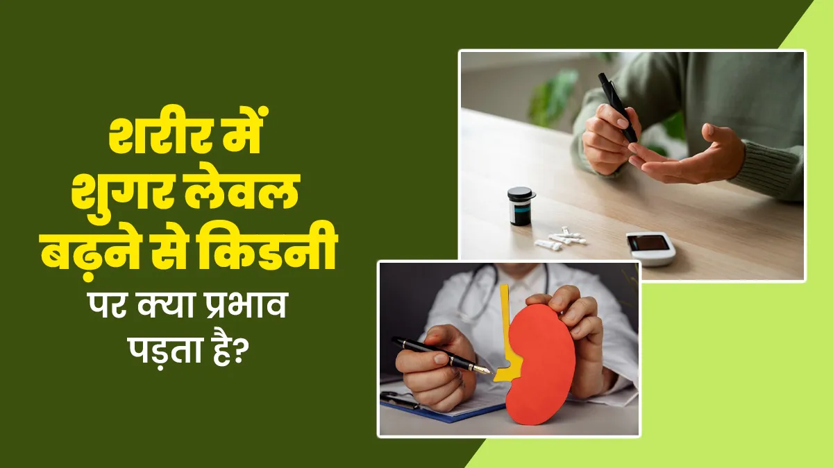शरीर में शुगर लेवल बढ़ने से किडनी पर क्या प्रभाव पड़ता है? जानें इसे कंट्रोल करने का तरीका