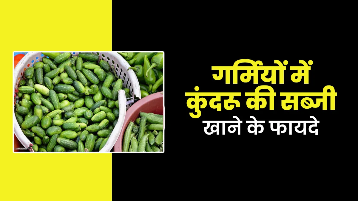 गर्मियों में कुंदरू की सब्जी खाना क्यों है जरूरी? एक्सपर्ट से जानें इसके फायदे