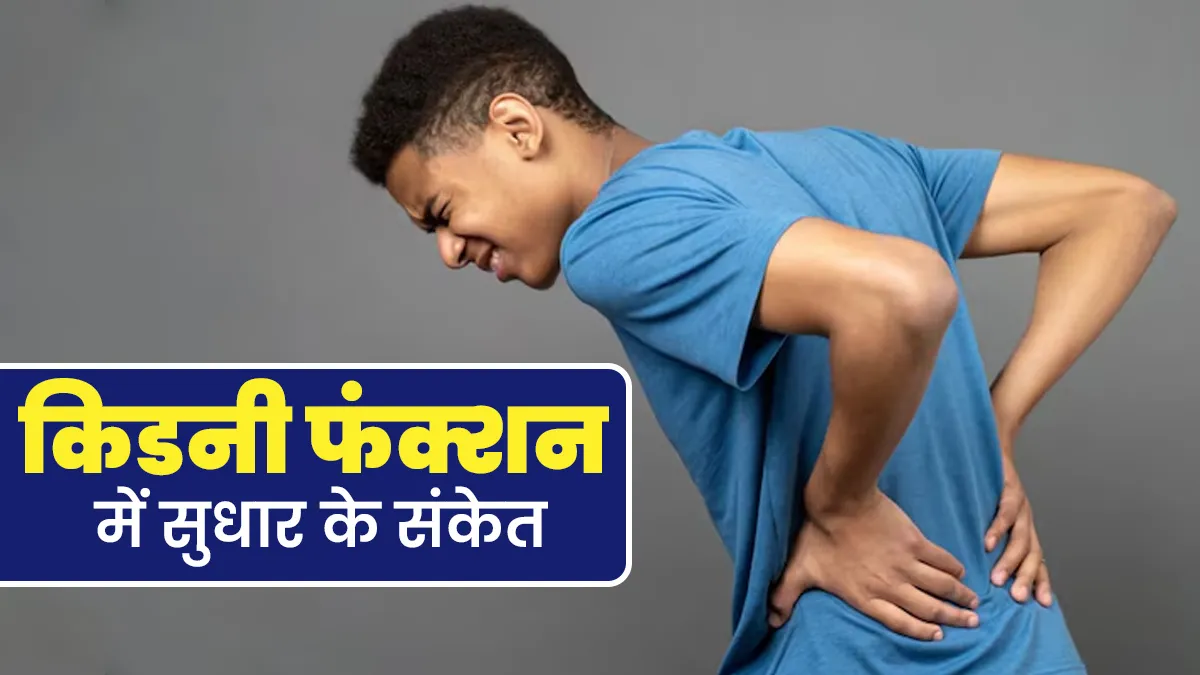 कैसे पता चलेगा कि किडनी फंक्शन बेहतर हो रही है? जानें सुधार के ये संकेत