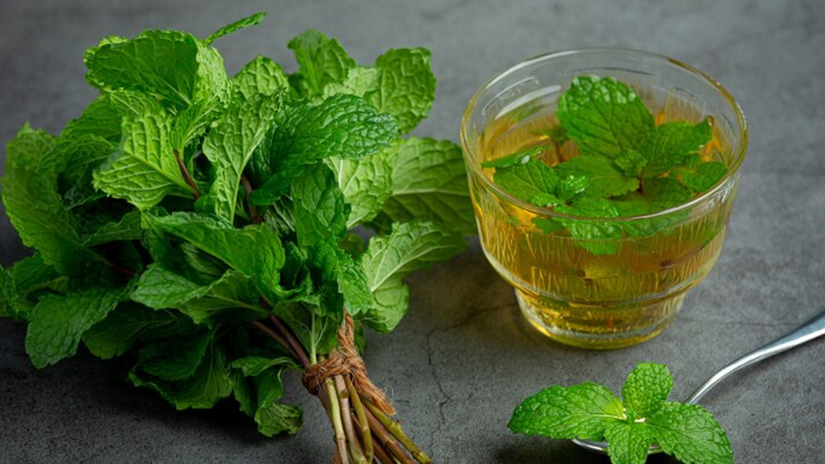 Benefits Of Mint Tea To Reduce Stress