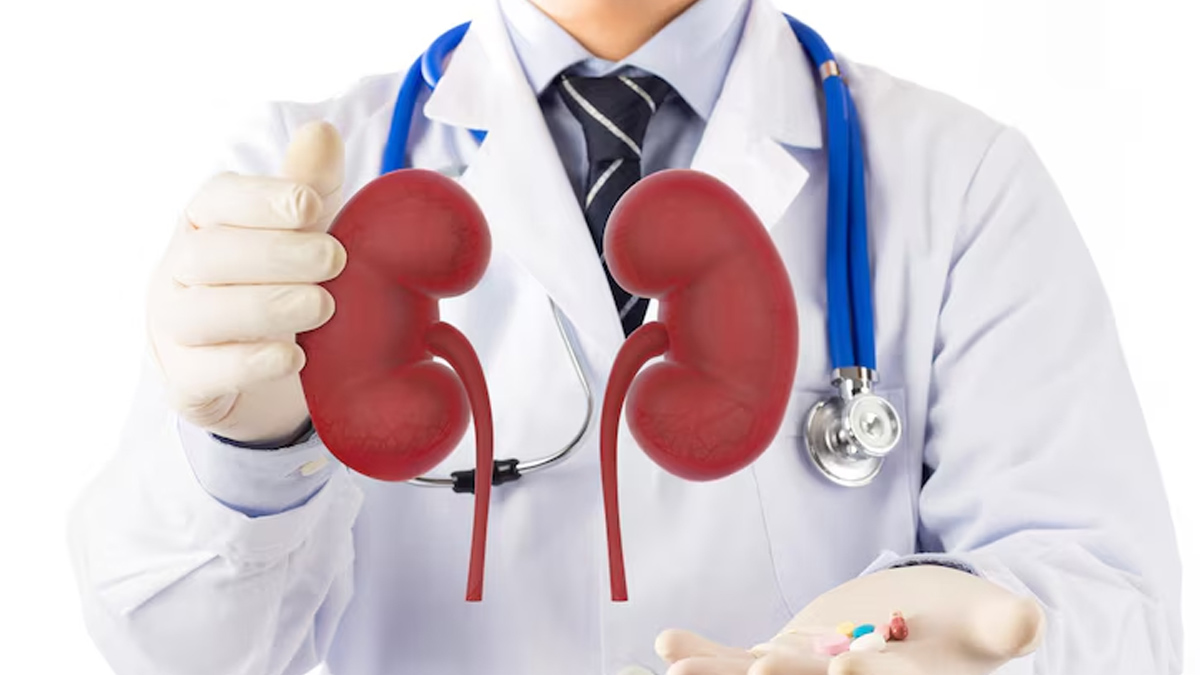 signs of improving kidney function 01 (4)