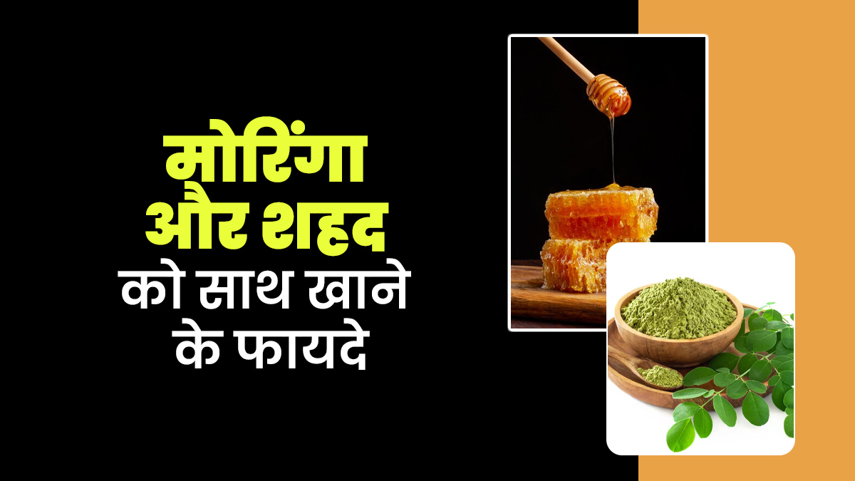 मोरिंगा और शहद को साथ खाने के फायदे, आयुर्वेदिक एक्सपर्ट से जानें