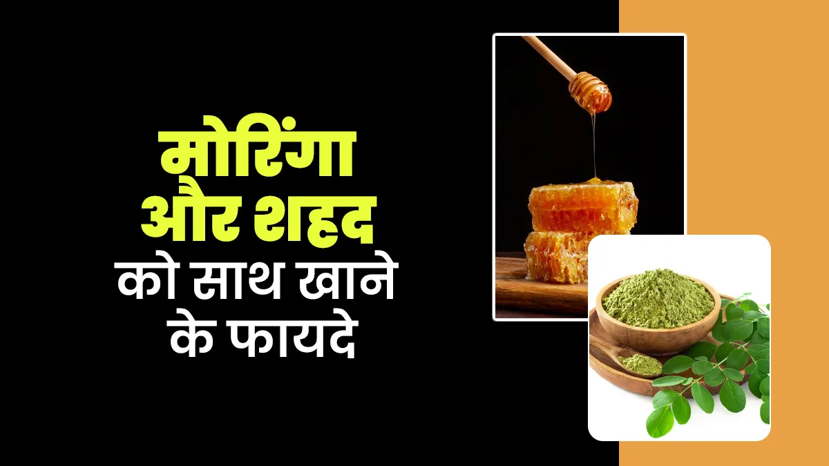 मोरिंगा और शहद को साथ खाने के फायदे, आयुर्वेदिक एक्सपर्ट से जानें