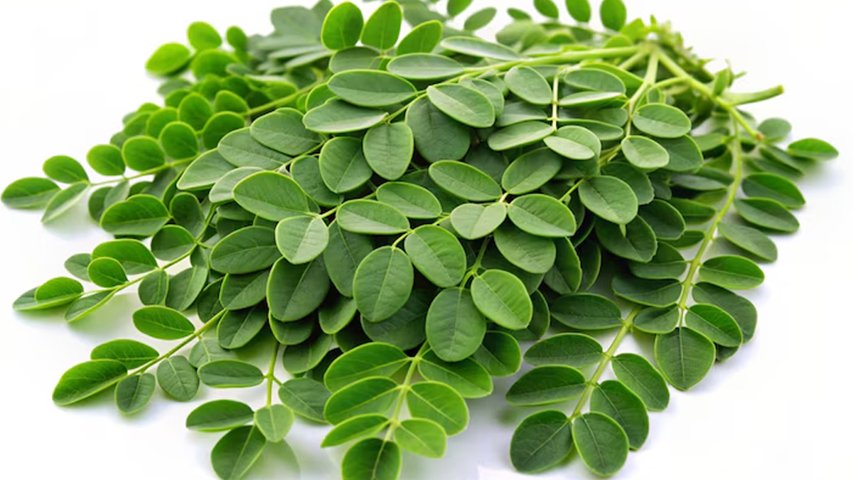 benefits of eating moringa and honey together in hindi 01 (2)
