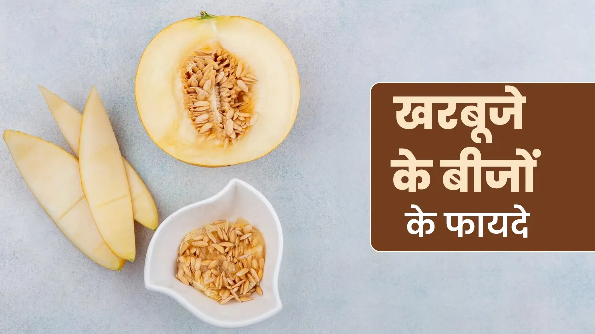 पेशाब में जलन की समस्या को दूर कर सकते हैं खरबूजे के बीज, जानें इसके 7 फायदे