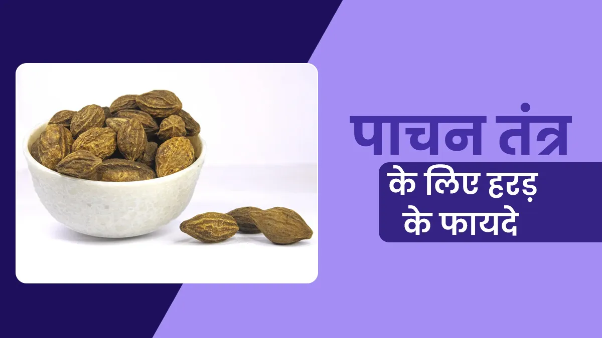 पाचन तंत्र के लिए हरड़ कैसे फायदेमंद है? जानें आयुर्वेदिक एक्सपर्ट से