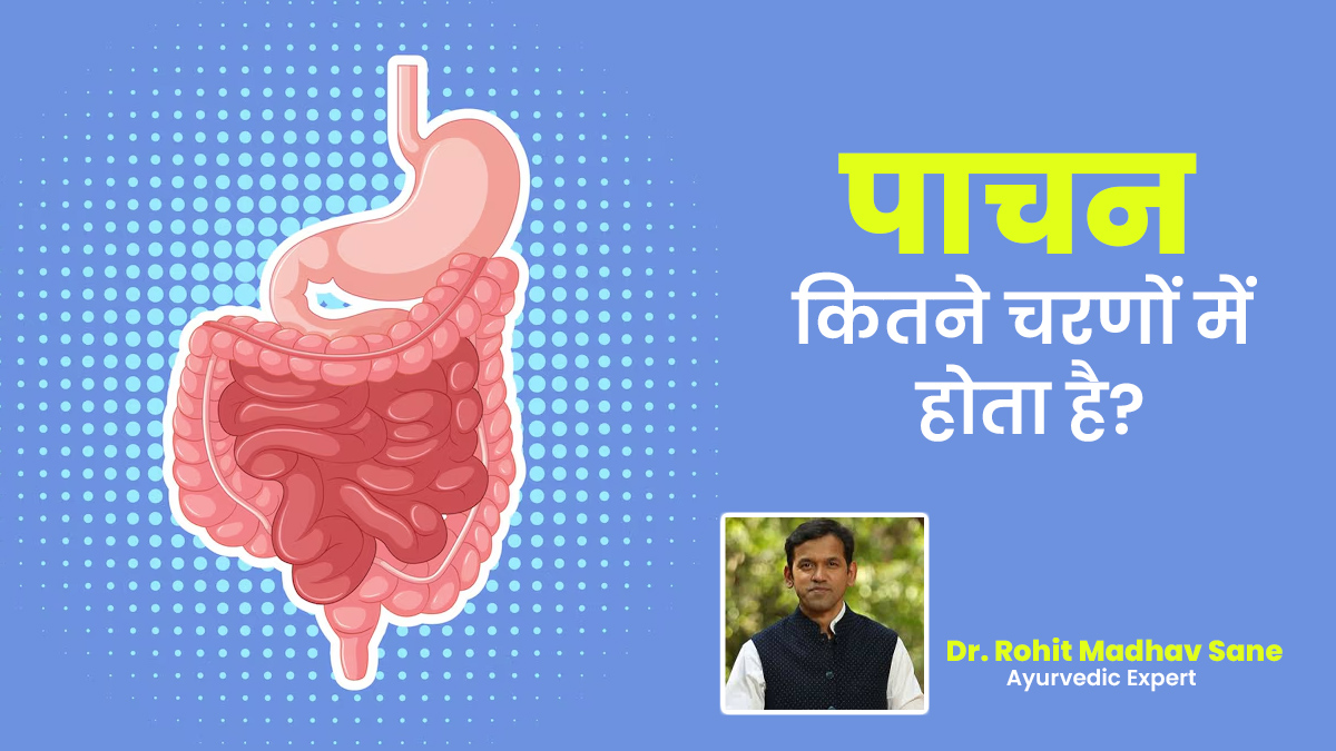 भोजन के बाद कितने चरणों में होता है पाचन, बता रहे हैं आयुर्वेदाचार्य