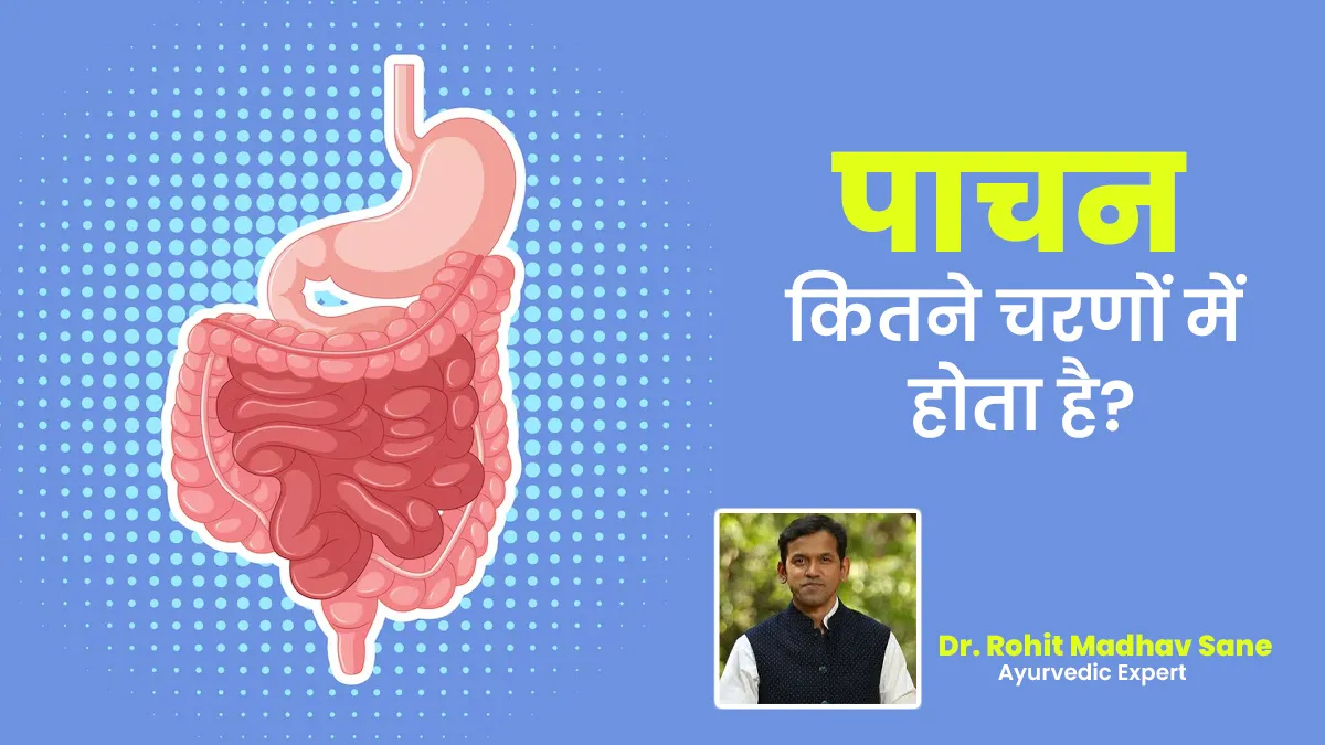 भोजन के बाद कितने चरणों में होता है पाचन, बता रहे हैं आयुर्वेदाचार्य