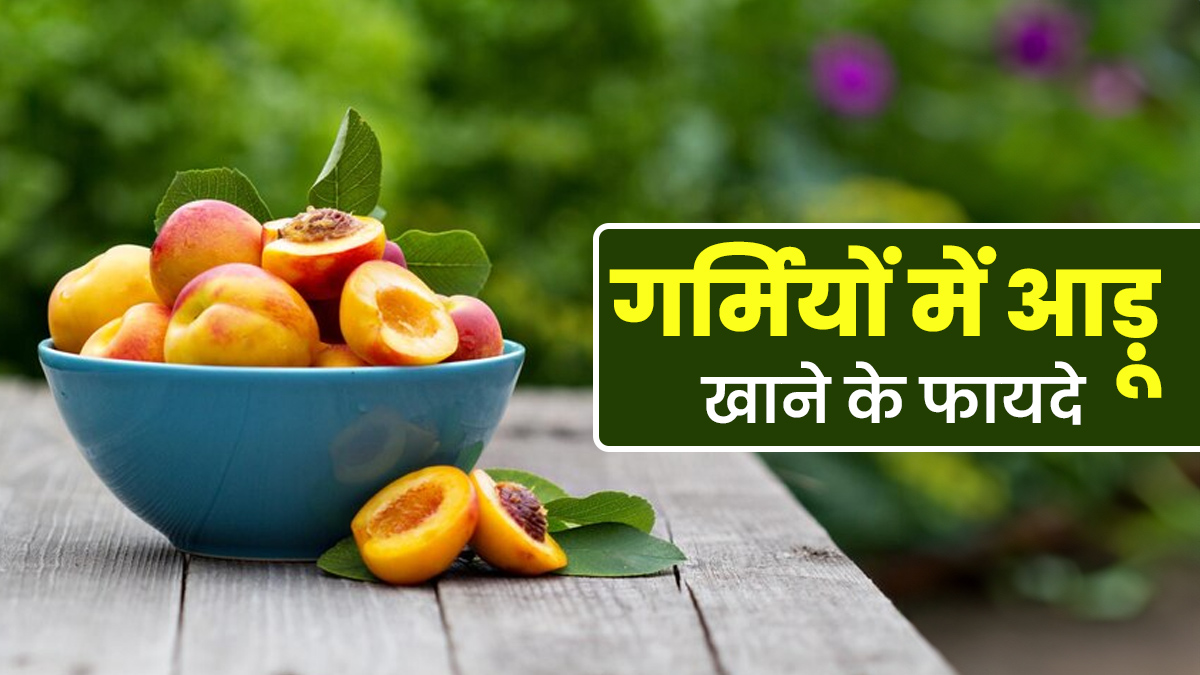 गर्मियों में आड़ू खाने से दूर होती हैं सेहत की कई परेशानियां, एक्सपर्ट से जानें