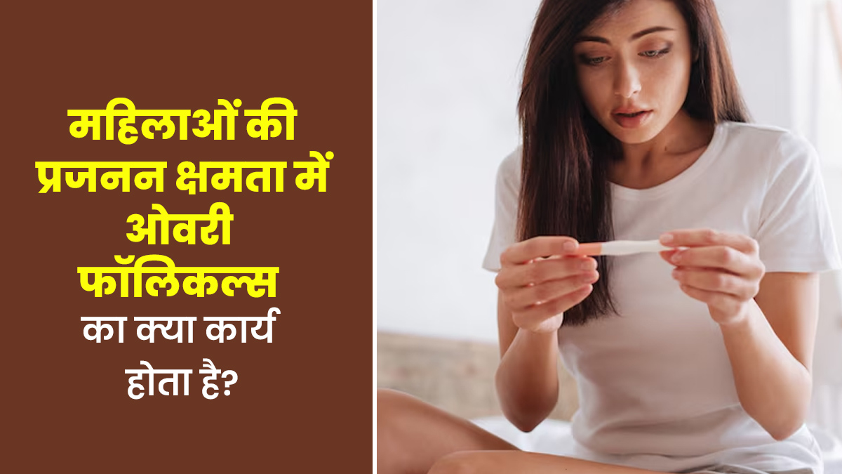 महिलाओं की प्रजनन क्षमता में ओवरी फॉलिकल्स का क्या कार्य होता है? डॉक्ट से जानें