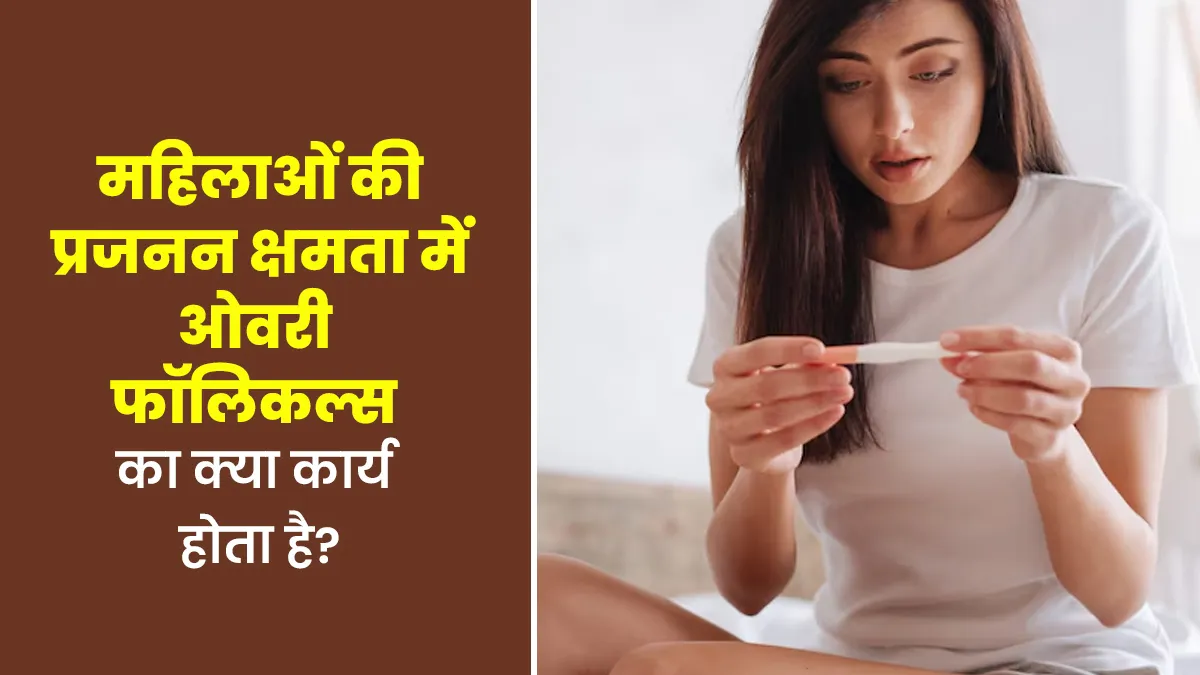 महिलाओं की प्रजनन क्षमता में ओवरी फॉलिकल्स का क्या कार्य होता है? डॉक्ट से जानें