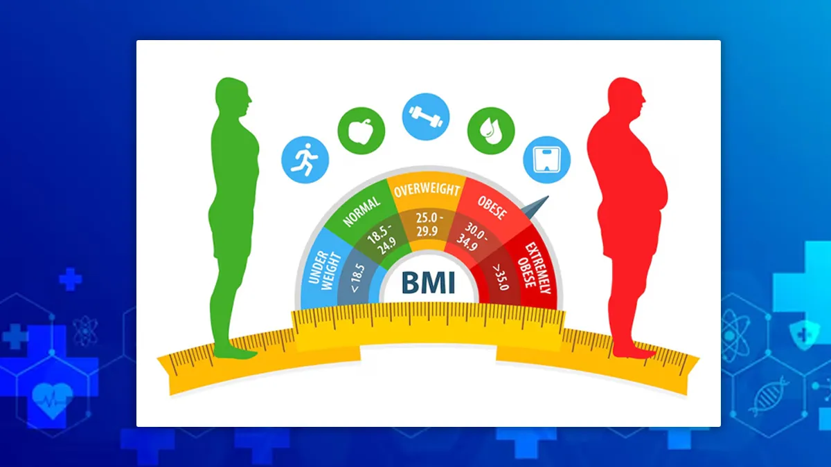 BMI और BMR में क्या हैं अंतर? एक्सपर्ट से जानें