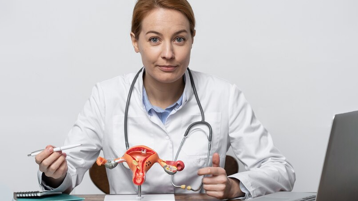 role-of-ovarian-follicles-in-female-reproductive-system-in