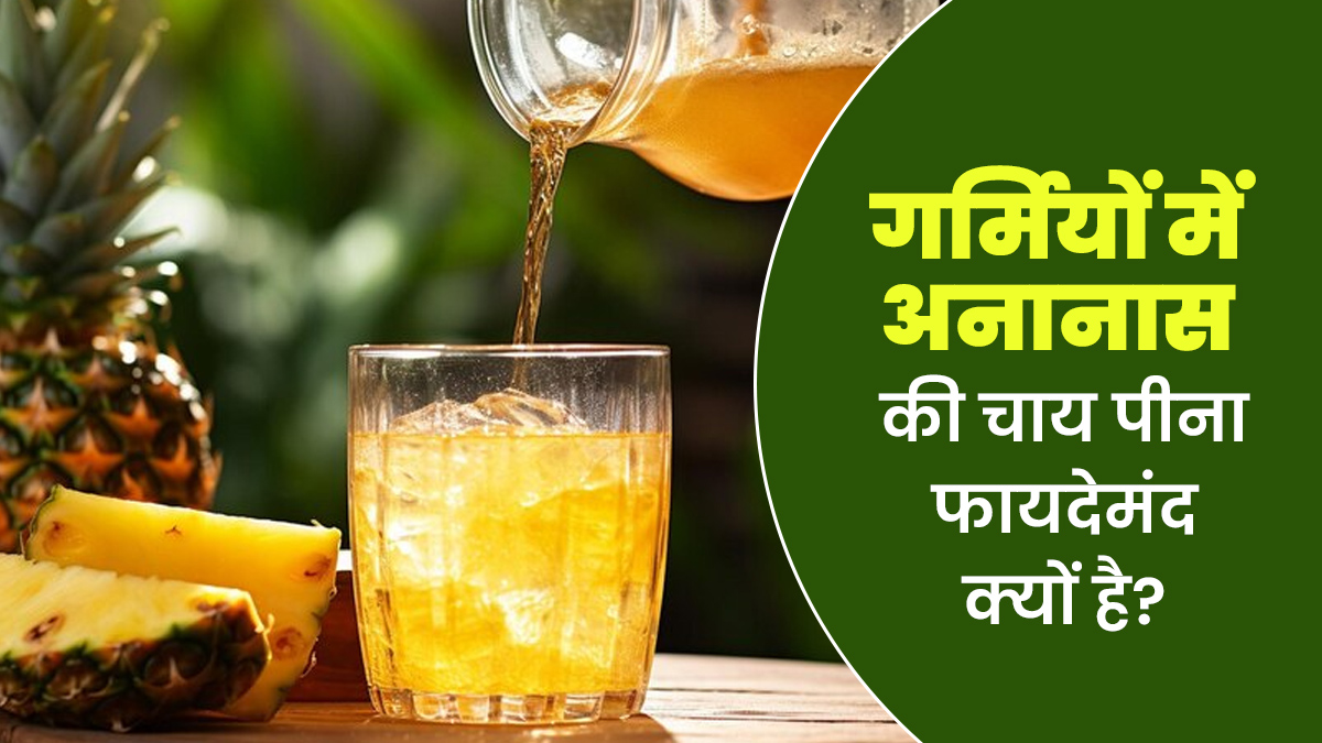 गर्मियों में अनानास की चाय पीना कितना फायदेमंद है? एक्सपर्ट से जानें इसके लाभ