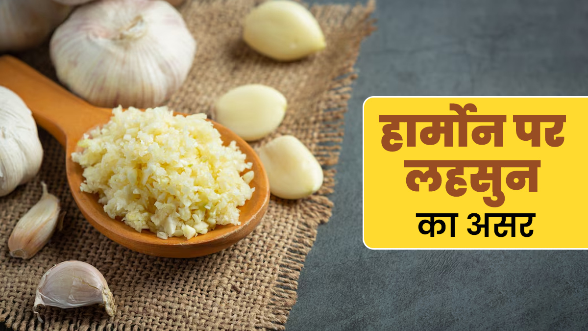 क्या लहसुन हार्मोन को प्रभावित करता है? एक्सपर्ट से जानें