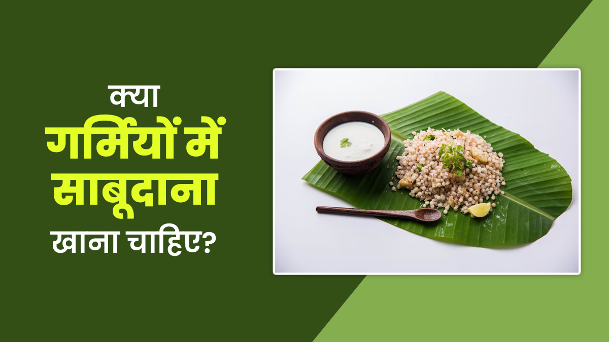 क्या गर्मियों में साबूदाना खाना चाहिए? एक्सपर्ट से जानें