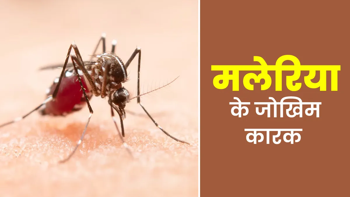गर्मियों में बढ़ जाता है मलेरिया का खतरा, डॉक्‍टर से जानें इसके 5 बड़े जोखिम कारक