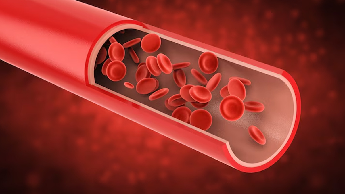 world hemophilia day 2025 theme history significance in hindi 1