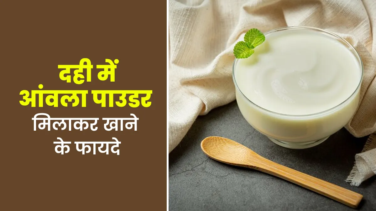 दही में आंवला पाउडर मिलाकर खाना क्यों फायदेमंद है? आयुर्वेदाचार्य से जानें