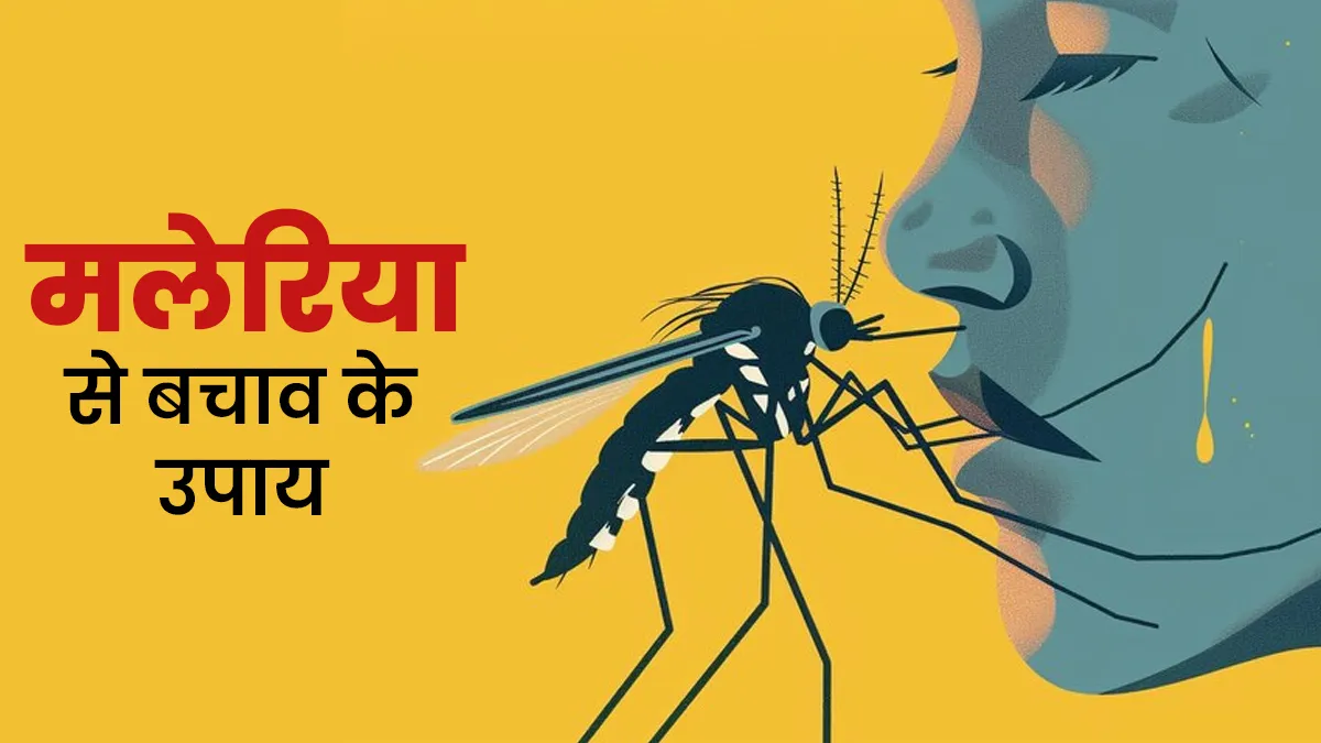 World Malaria Day: मलेरिया नहीं बनेगा मुसीबत, बचाव करेंगे डॉक्टर के बताए ये 10 उपाय