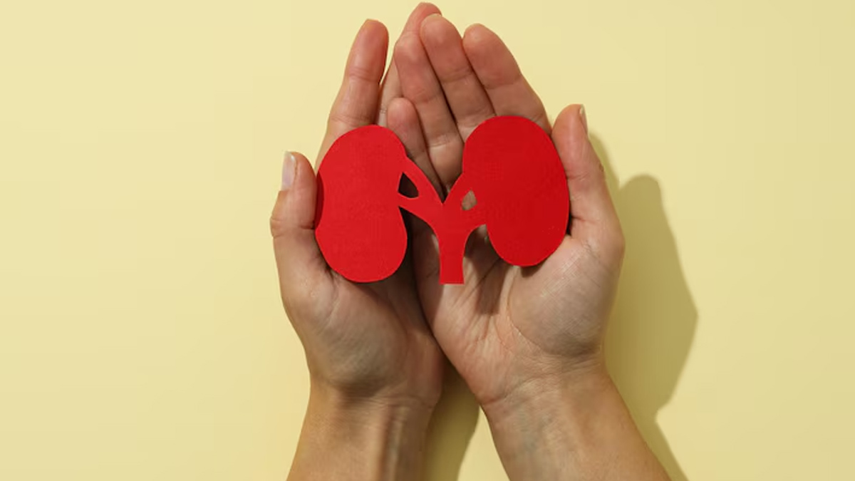 Health Problems After Kidney Donors