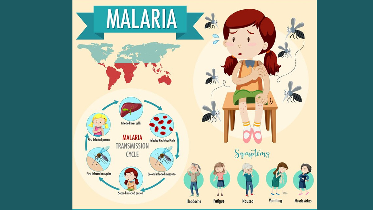 malaria-prevention