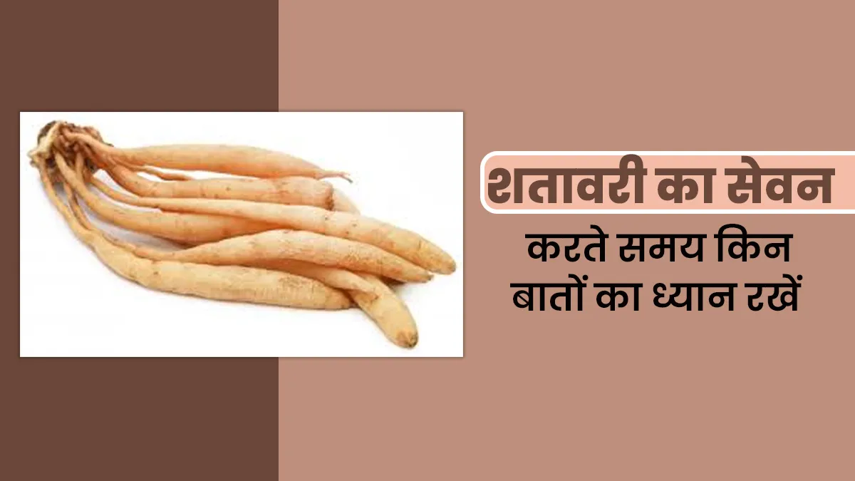 शतावरी का सेवन करते समय किन बातों का ध्यान रखें? आयुर्वेदाचार्य से जानें