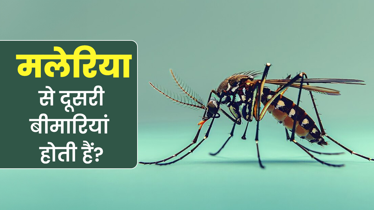 World Malaria Day: क्या मलेरिया से बढ़ सकता है दूसरी बीमारियों का खतरा? डॉक्‍टर से जानें