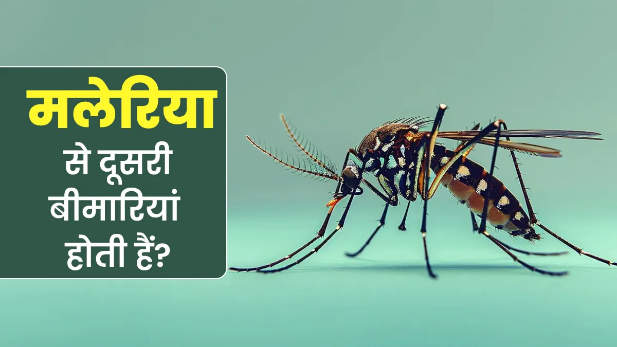 World Malaria Day: क्या मलेरिया से बढ़ सकता है दूसरी बीमारियों का खतरा? डॉक्‍टर से जानें