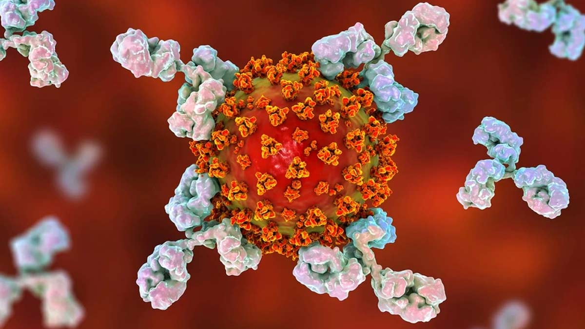देश में फिर लौट रहा है कोरोना, मध्यप्रदेश में सामने आए 2 मामले; 1 की मौत | Corona Outbreak in Madhya Pradesh One Death Another Critical Health updates in Hindi Corona-Outbreak-in-Madhya-Pradesh-One-Death-Another-Critical-inside