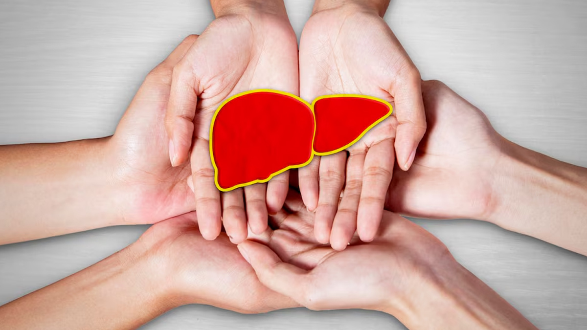 can fatty liver repair itself