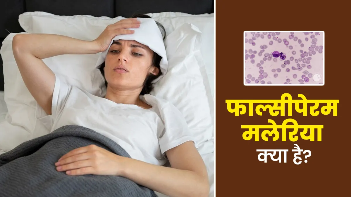 शरीर में तेजी से फैलती है जानलेवा बीमारी 'फाल्सीपेरम मलेरिया', डॉक्‍टर से जानें इसके लक्षण, कारण और इलाज