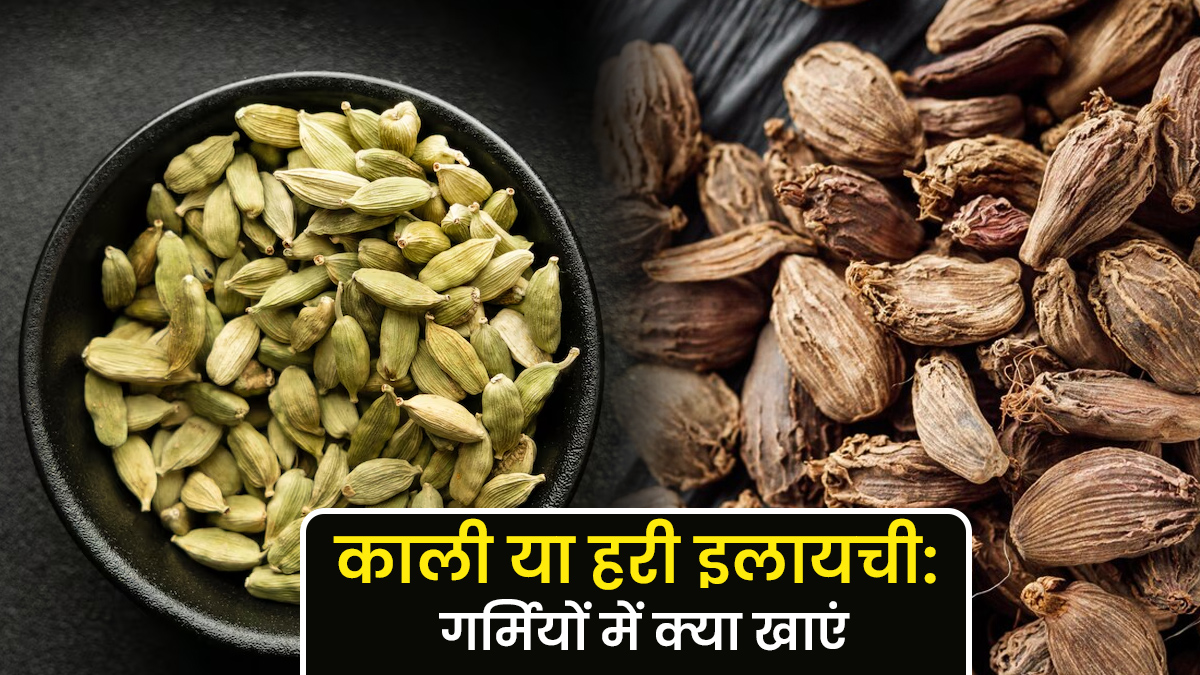 काली या हरी इलायची: गर्मियों में किसका सेवन है ज्यादा फायदेमंद?
