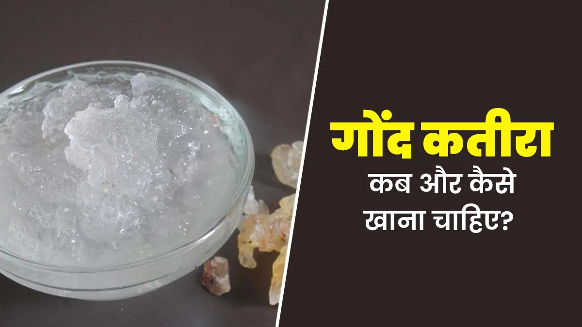 गोंद कतीरा कब और कैसे खाना चाहिए? जानें एक्सपर्ट से