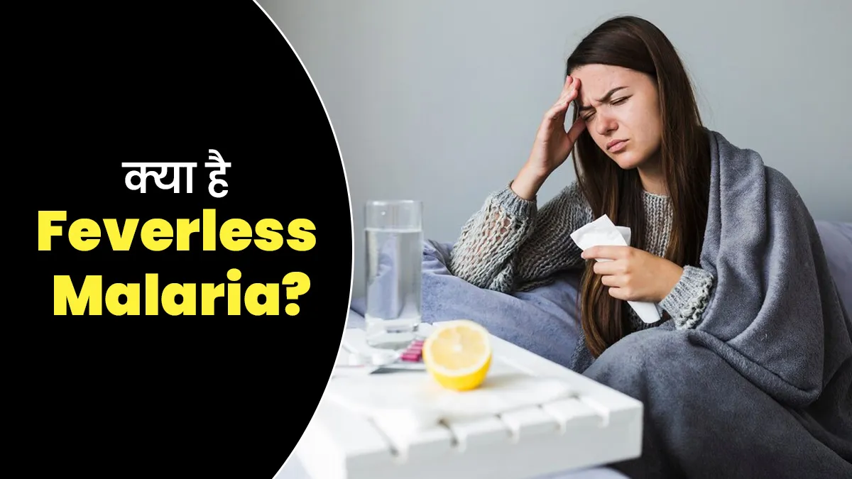 World Malaria Day 2025: क्या है Feverless Malaria? डॉक्टर से जानें इसके कारण
