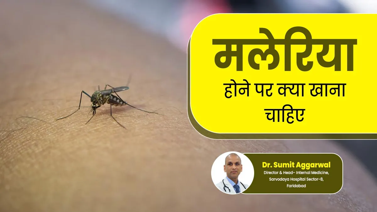 World Malaria Day 2025: मलेरिया होने पर क्या खाना चाहिए और क्या नहीं, बता रहे हैं डॉक्टर