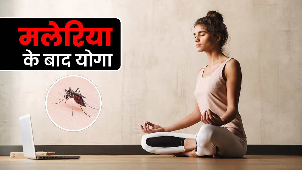 World Malaria Day 2025: मलेरिया के बाद शरीर की कमजोरी को दूर करने और एक्टिव बनाने के लिए करें ये योगासन, एक्सपर्ट से जानें