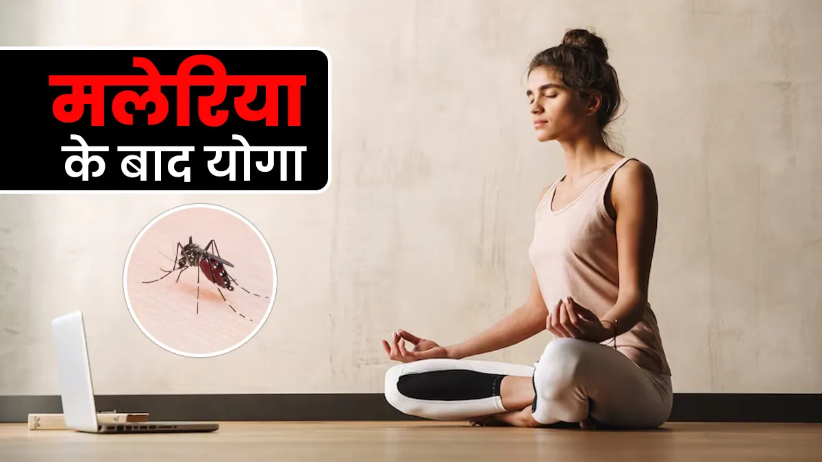 World Malaria Day 2025: मलेरिया के बाद शरीर की कमजोरी को दूर करने और एक्टिव बनाने के लिए करें ये योगासन, एक्सपर्ट से जानें