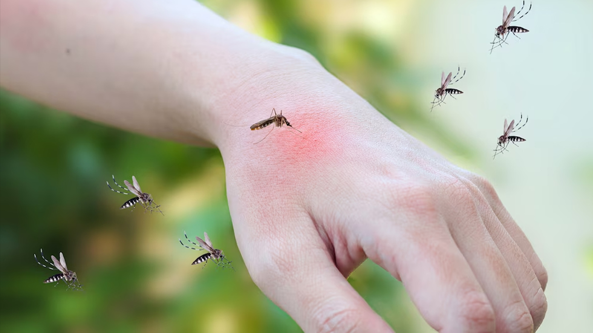 is malaria communicable disease 01 (4)