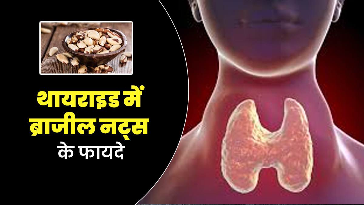 थायराइड के मरीजों के लिए बहुत फायदेमंद है ब्राजील नट्स, डाइटिशियन से जानें सेवन का तरीका