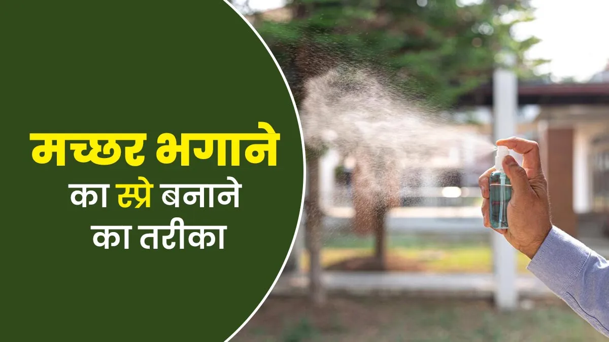 घर पर मच्छर भगाने के लिए स्प्रे कैसे बनाएं? एक्सपर्ट से जानें तरीका