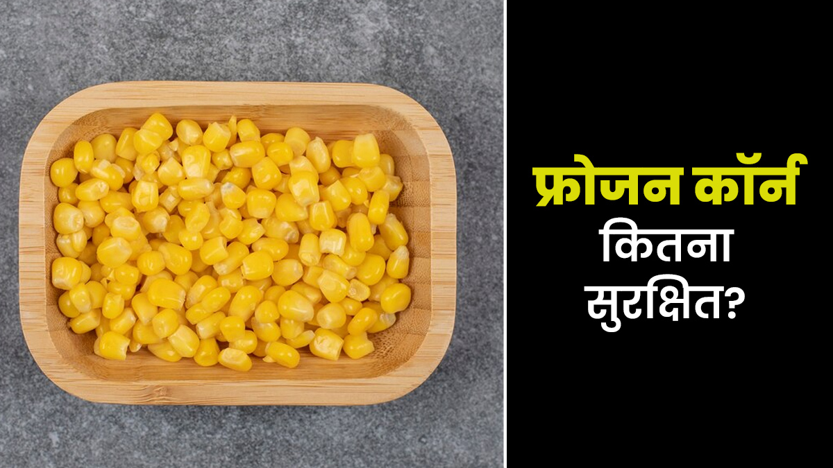 क्या फ्रोजन कॉर्न खाना सुरक्षित है? डाइट एक्सपर्ट से जानें सेहत के लिए कितना सही