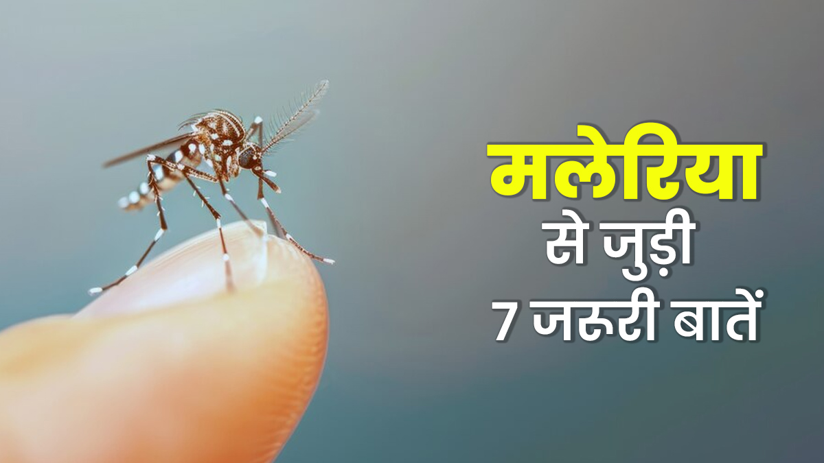 World Malaria Day 2025: मलेरिया से बचना है, तो डॉक्‍टर से जानें इससे जुड़ी 7 जरूरी बातें