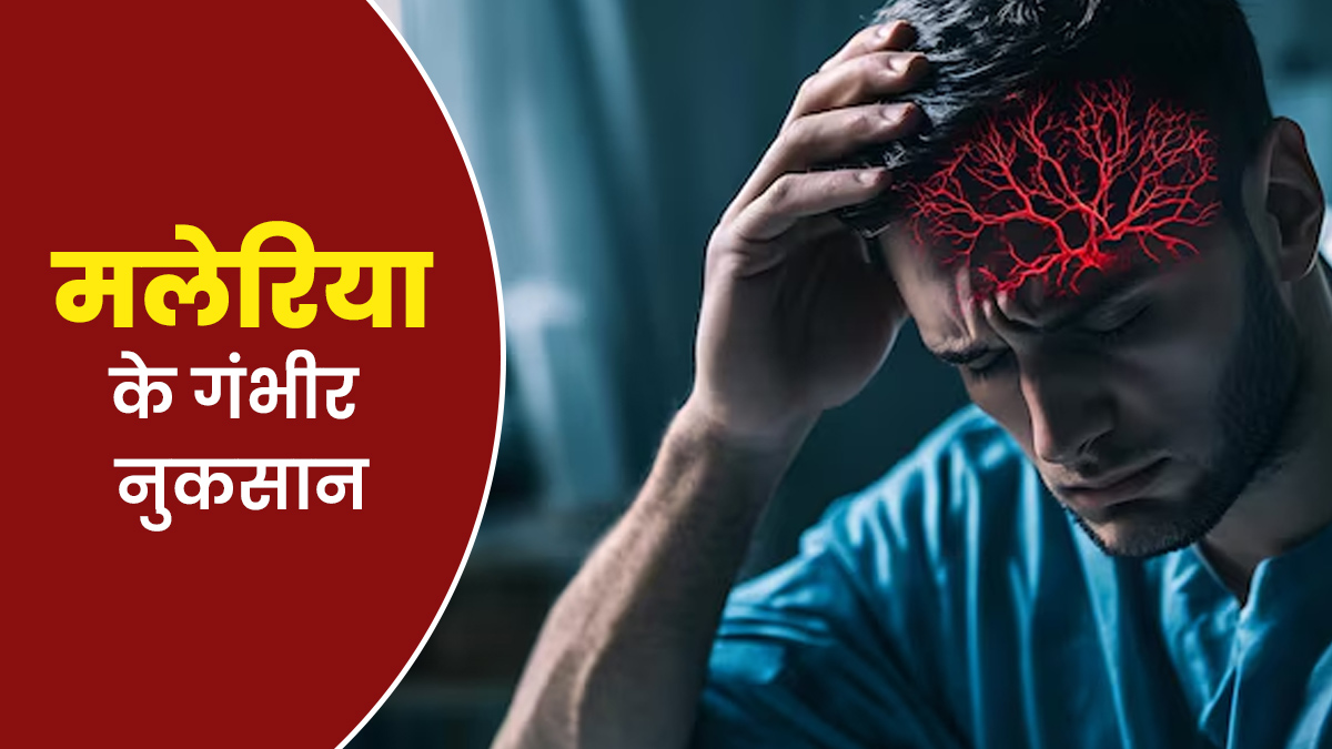 World Malaria Day 2025: मलेरिया को हल्के में लेना पड़ सकता है भारी, डॉक्‍टर से जानें इसके 5 गंभीर नुकसान